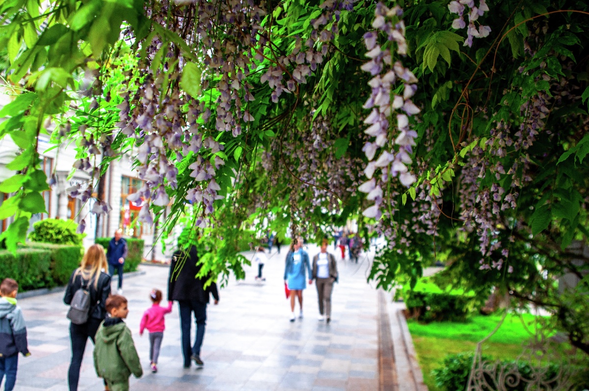 Набережная Ялты / Фото: Игорь Пиганов