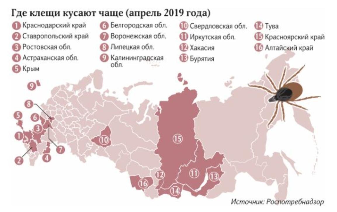 Куда чаще. Энцефалитный клещ распространение в России. Карта распространения клещевого энцефалита в России. Клещевой боррелиоз распространение в России. Клещевой боррелиоз карта распространения.