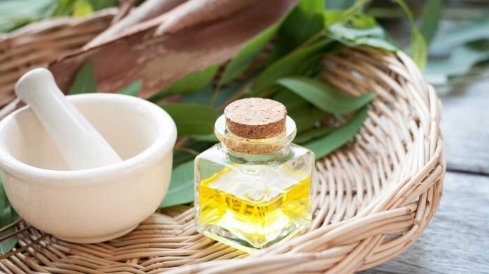 Для красоты и здоровья волос используют масло эвкалипта