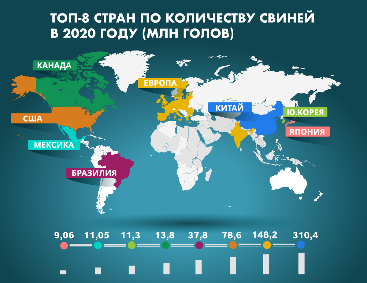 Какая страна лидер. Лидеры по свиноводству в мире. Страны Лидеры по поголовью свиней. Страны Лидеры по производству свиней. Лидирующие страны по производству свиней