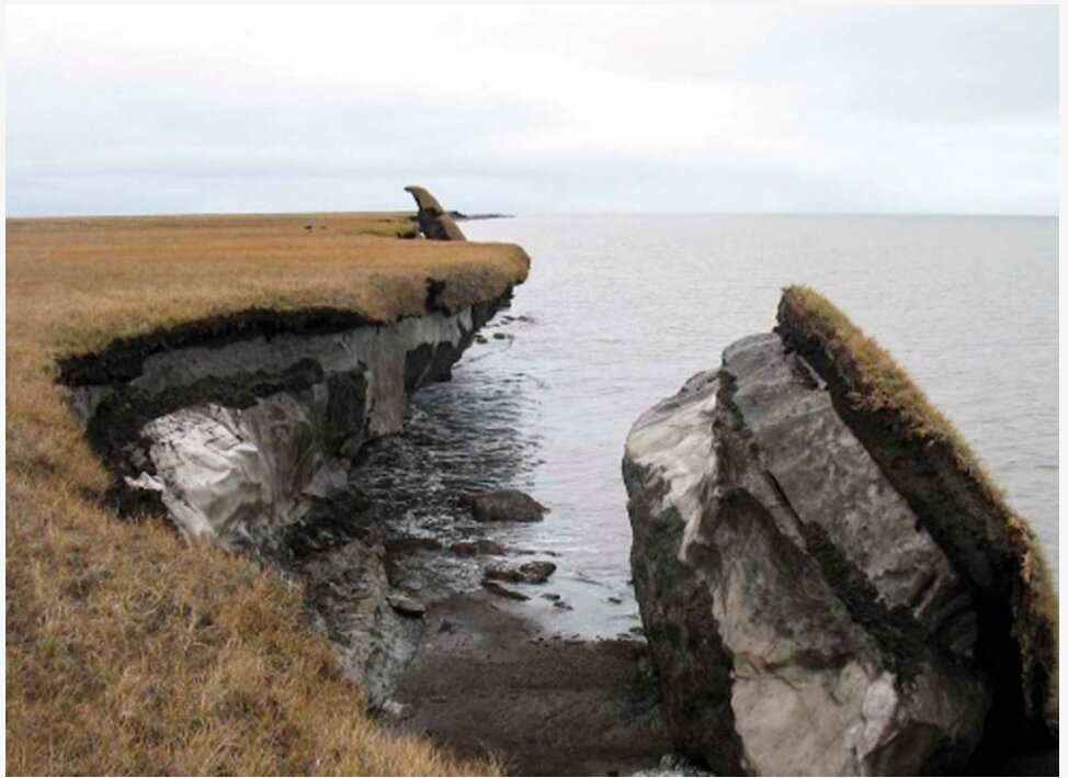 Из открытых источников