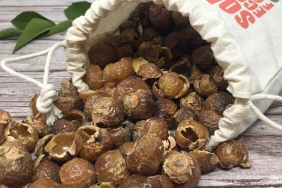 Мыльные орехи