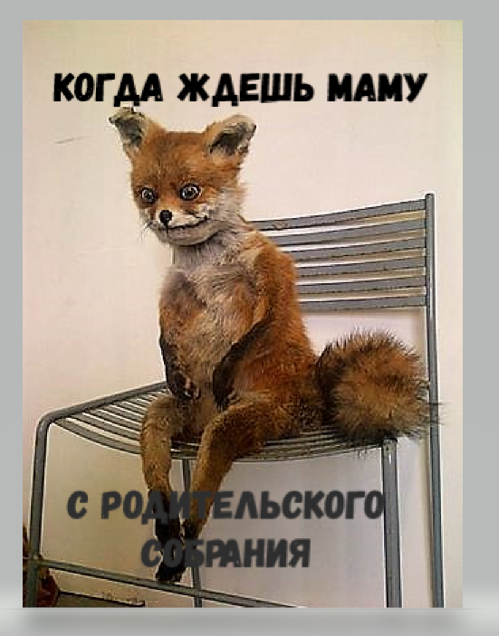 И наконец, это все совмещаем