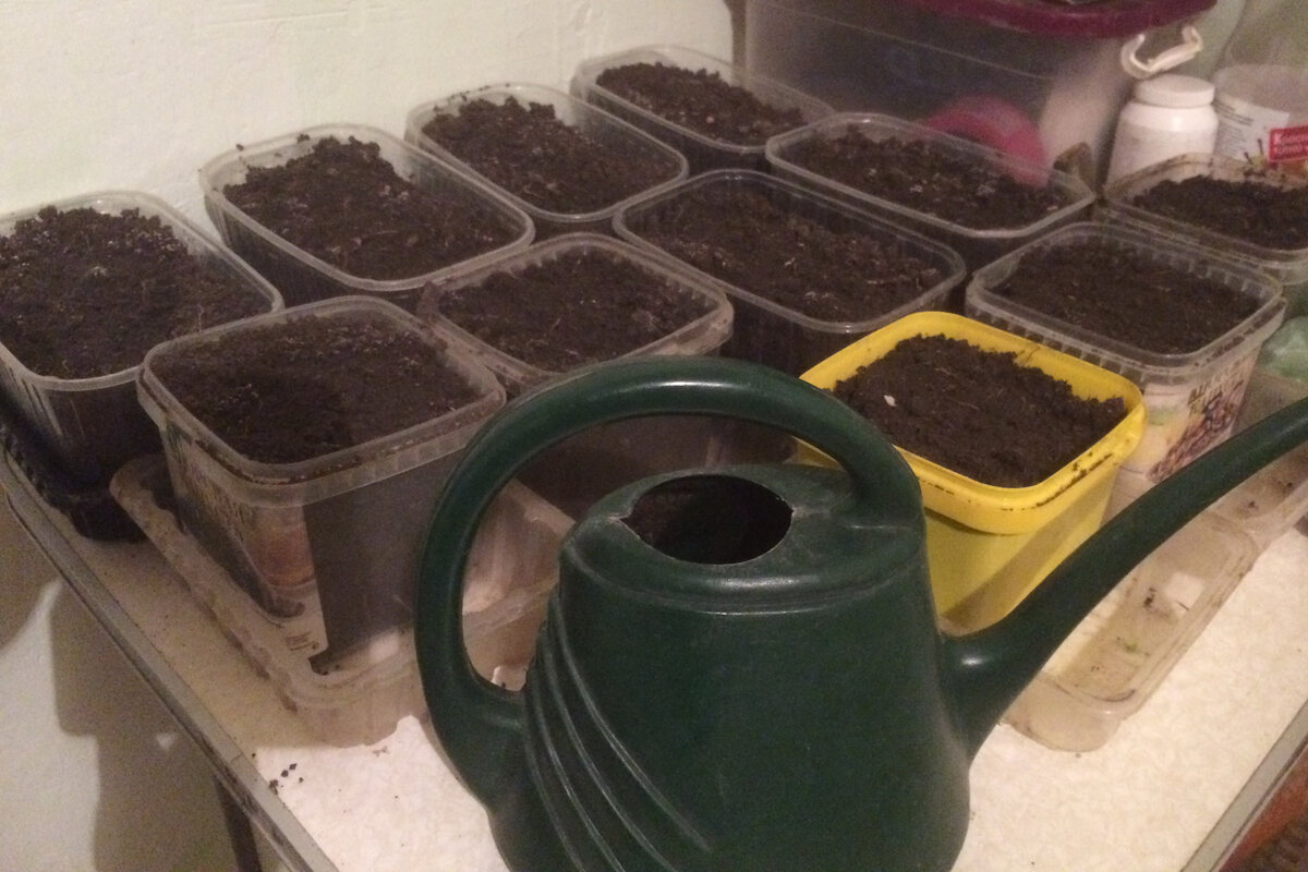 фото от 13 марта