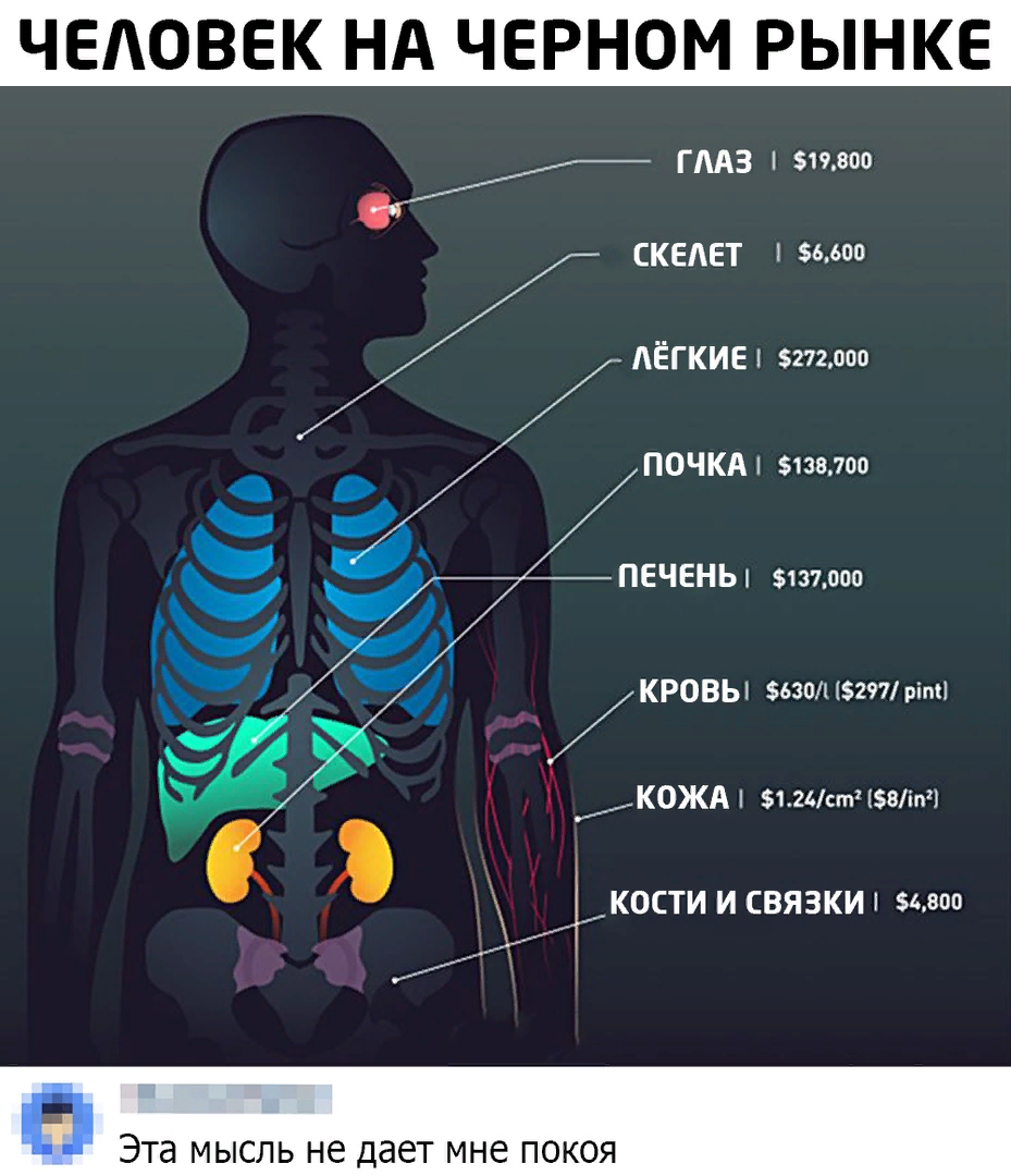 сколько стоит донор члена фото 10