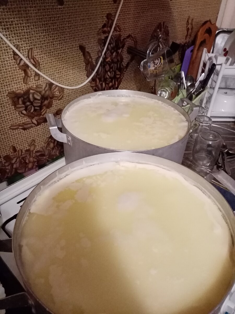 Поставила варить творог