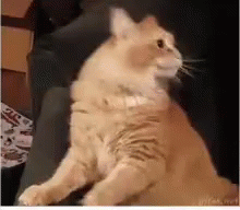 -Убери это от меня