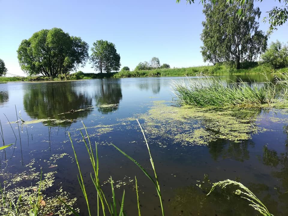 Водоемы вблизи москвы