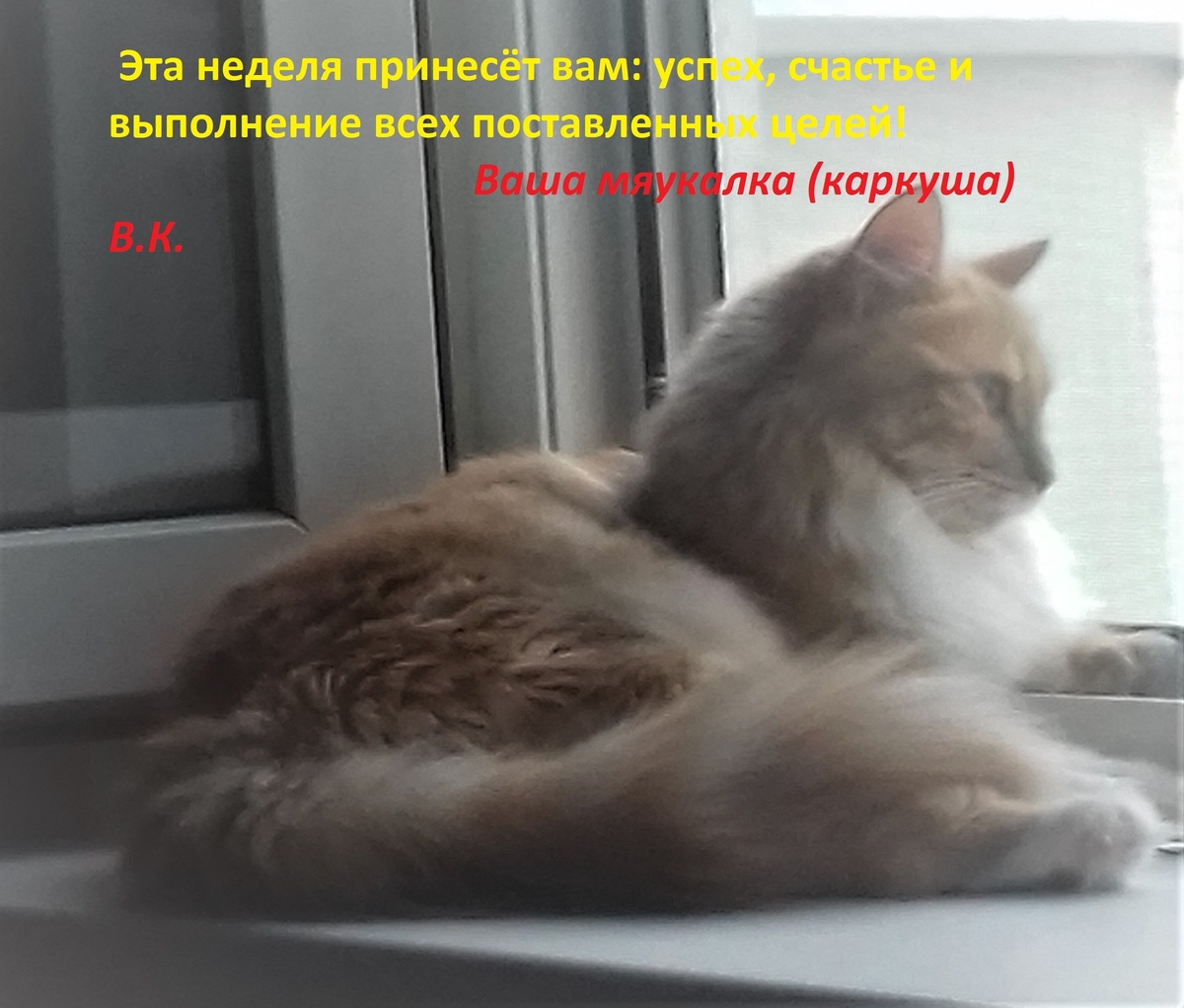 Мяу,мяу))тьфу ... кар кар))))счастье каркаю я вам)))