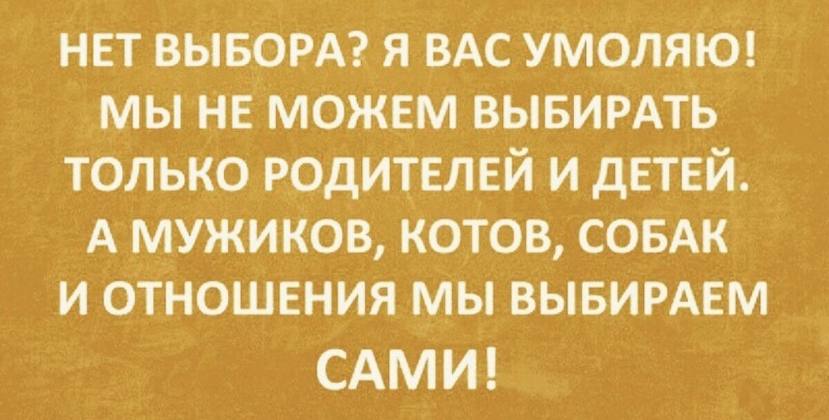Фото из свободного доступа сети Интернет