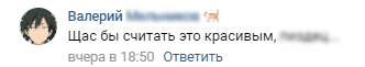 Пример пустого хейта, не несущего за собой никакого смысла. Такие комментарии можно спокойно удалять, ведь они являются просто оскорблением.