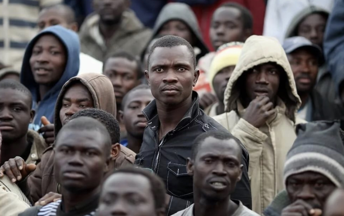 Нигер презентация. Что этот нигер. Ниггер из джанго освобожденный. Негр с плакатом. Почему нигеров называют нигерами.