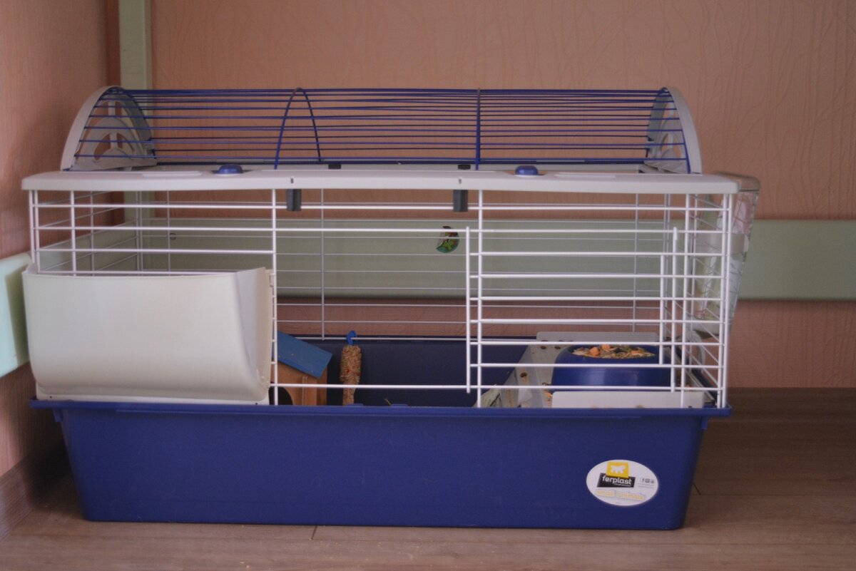 Это вторая клетка Гермионы, первая была маленькая