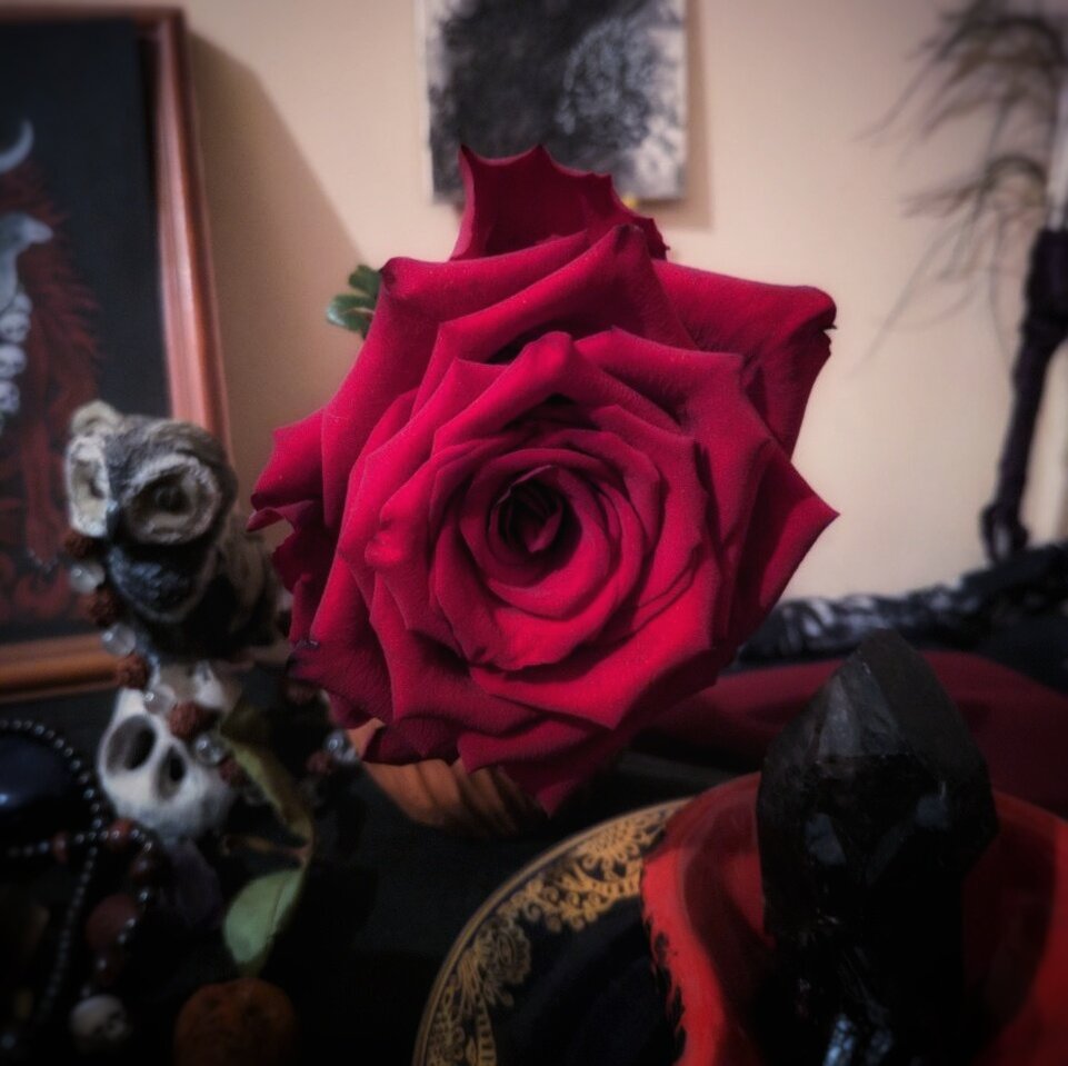 Магический алтарь автора. Фото из личных архивов.