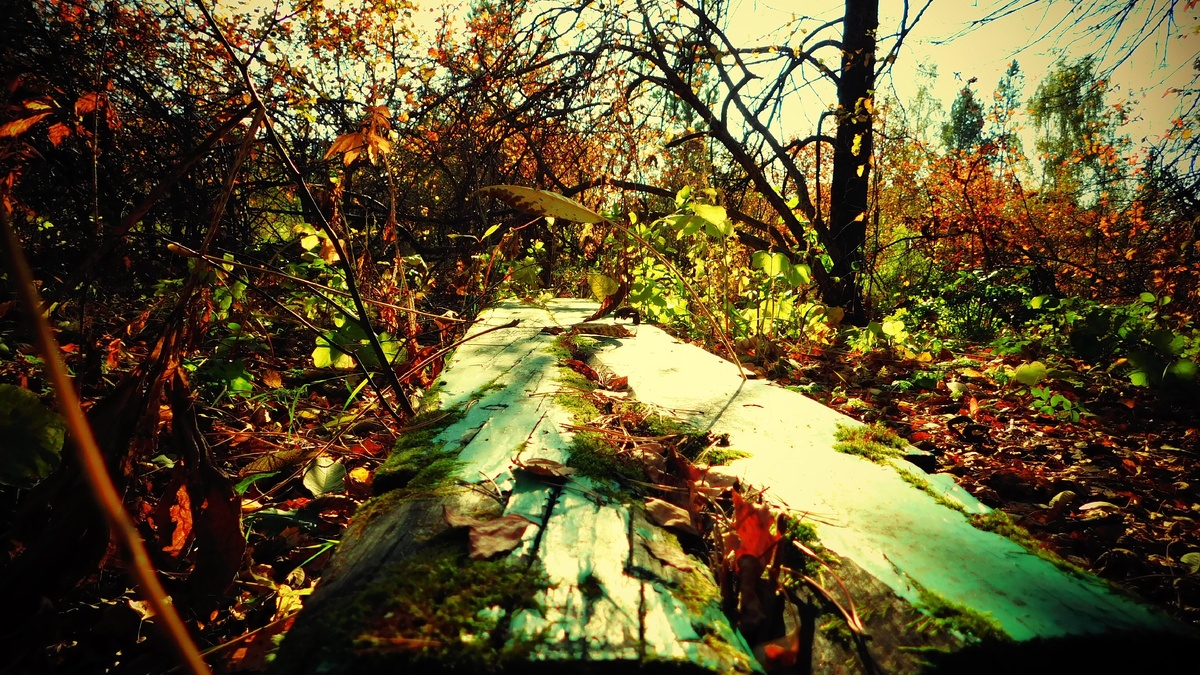 Скамья, думаю знакома многим.