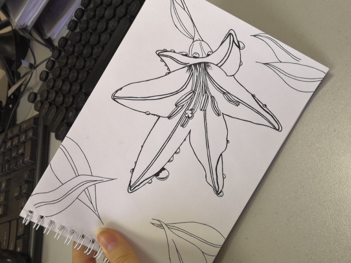 Скетч-иллюстрация