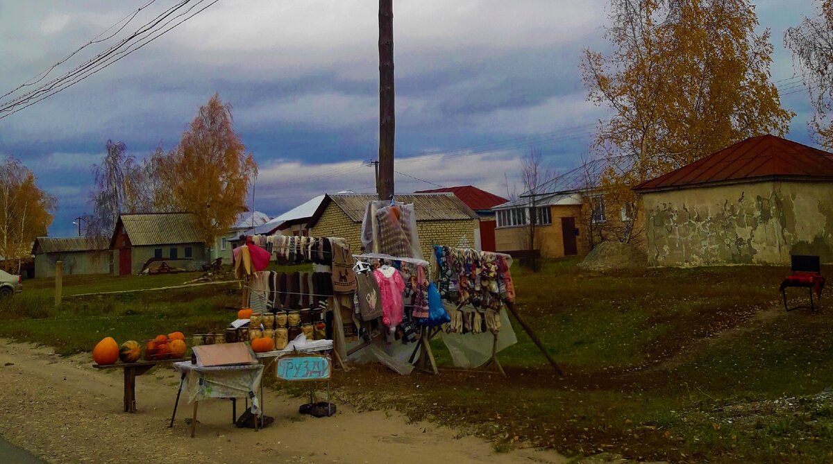 Жизнь внутри гаража. Как выживают люди на придорожной Рязанщине продавая баночку груздей за 1000 рублей