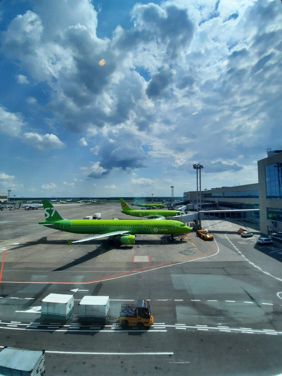 Аэропорт Домодедово, июнь 2020. Фото из личного архива