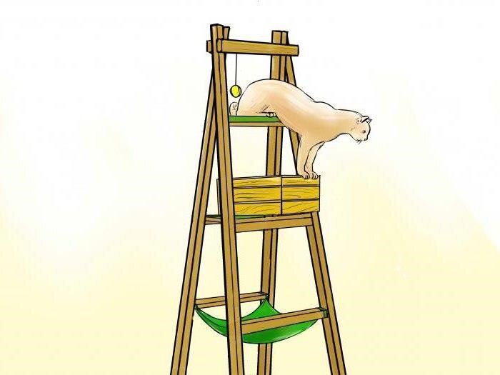 Как быстро сделать приставную лестницу своими руками?