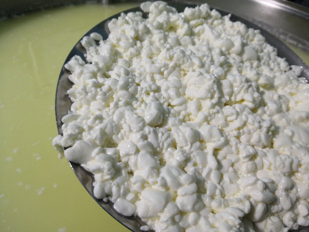 Зерновой сыр. Сырное зерно. Сыр Кальятта. Сыр с зернами. Сырное зерно вальпно.