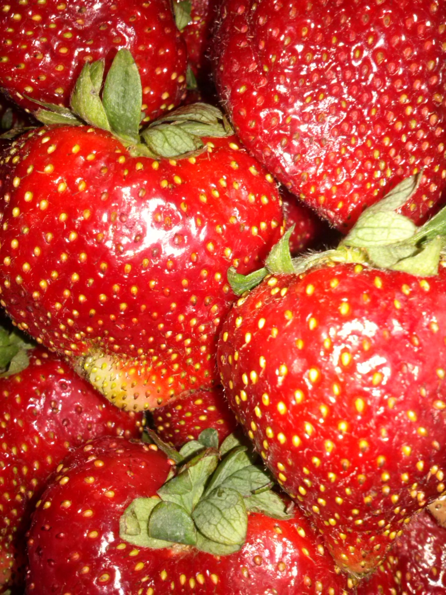 Фото из личного архива.