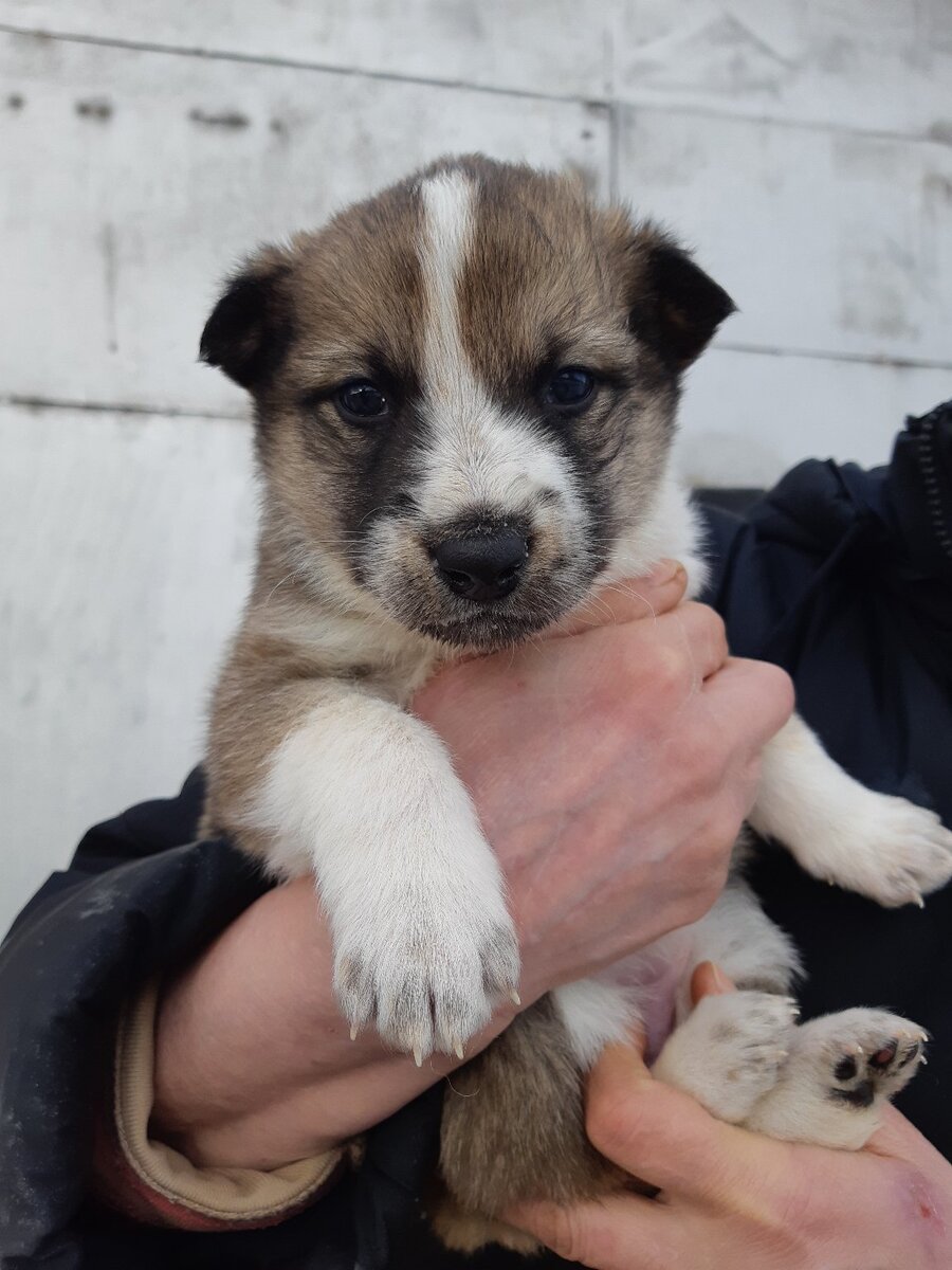 Фотография из личного архива