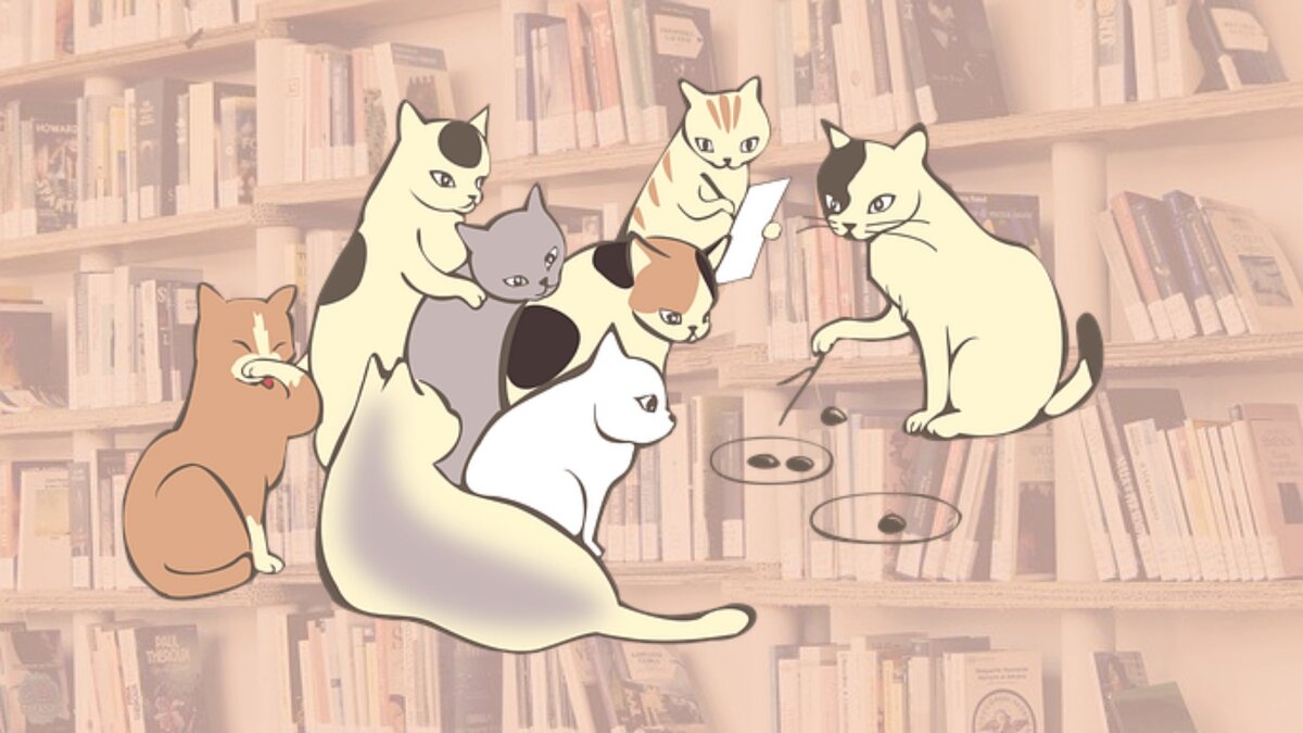 Когда котик прочитал книжки по захватывающей презентации и учит других котеев