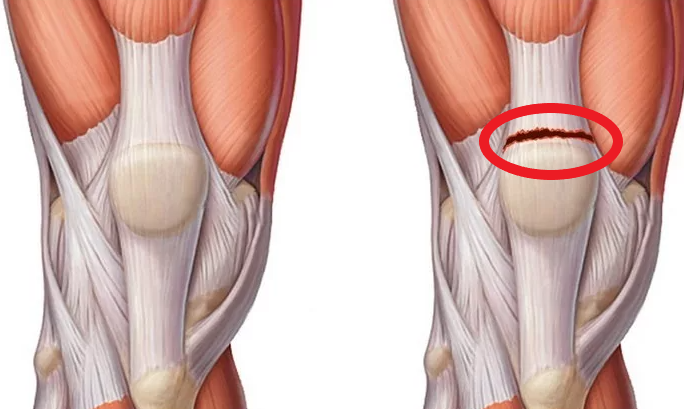 из открытых источников