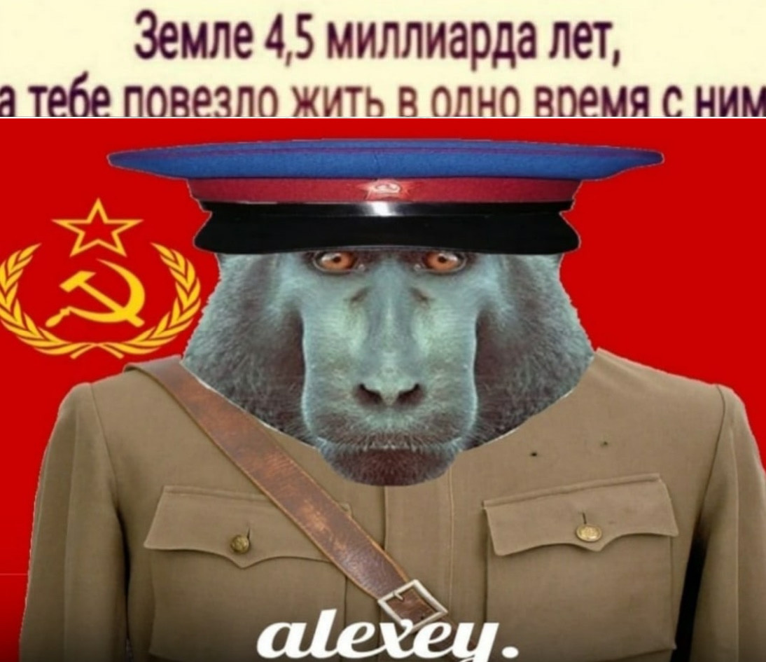 Источник: картинка автора