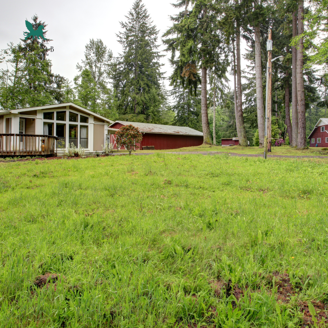 Фото из открытых источников: Canva