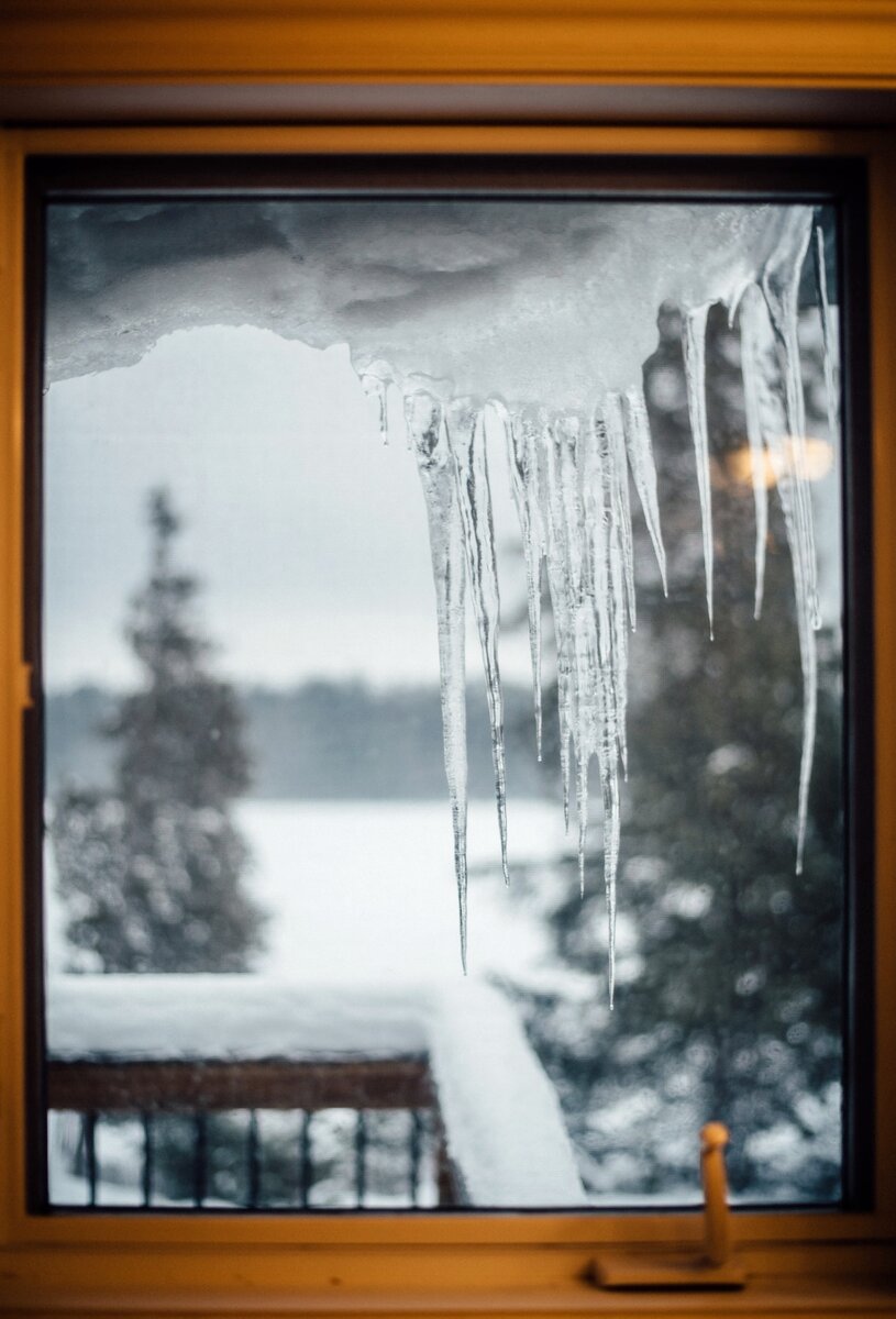 Фото из стока пикселс.ком
