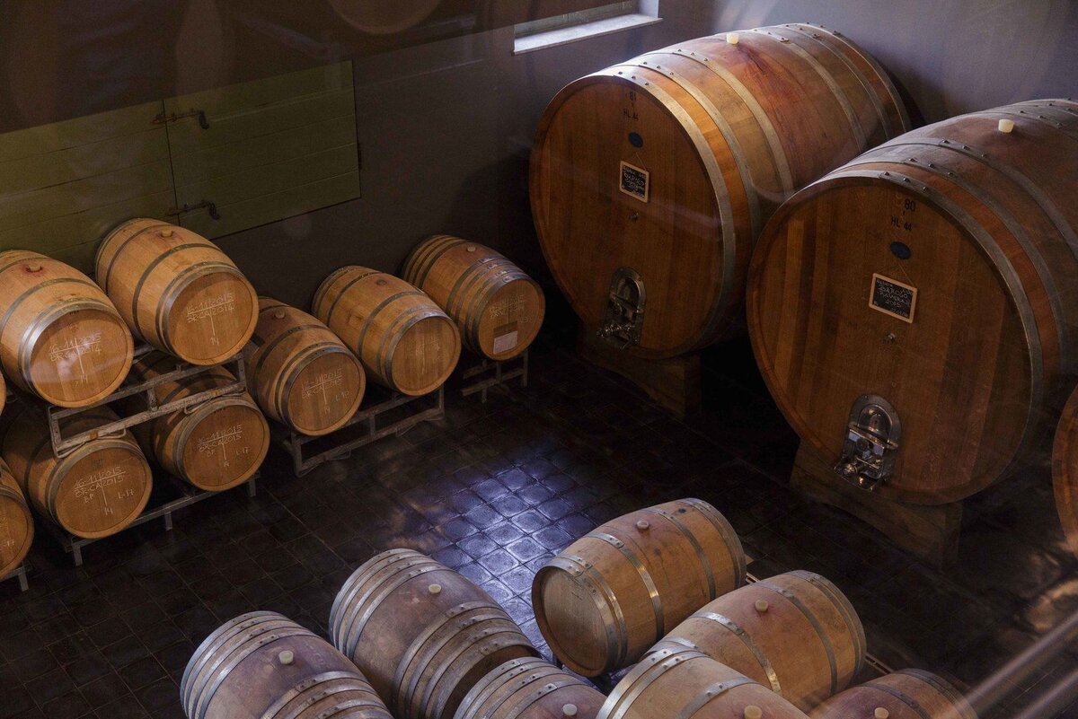 © Андрей Ковалев 