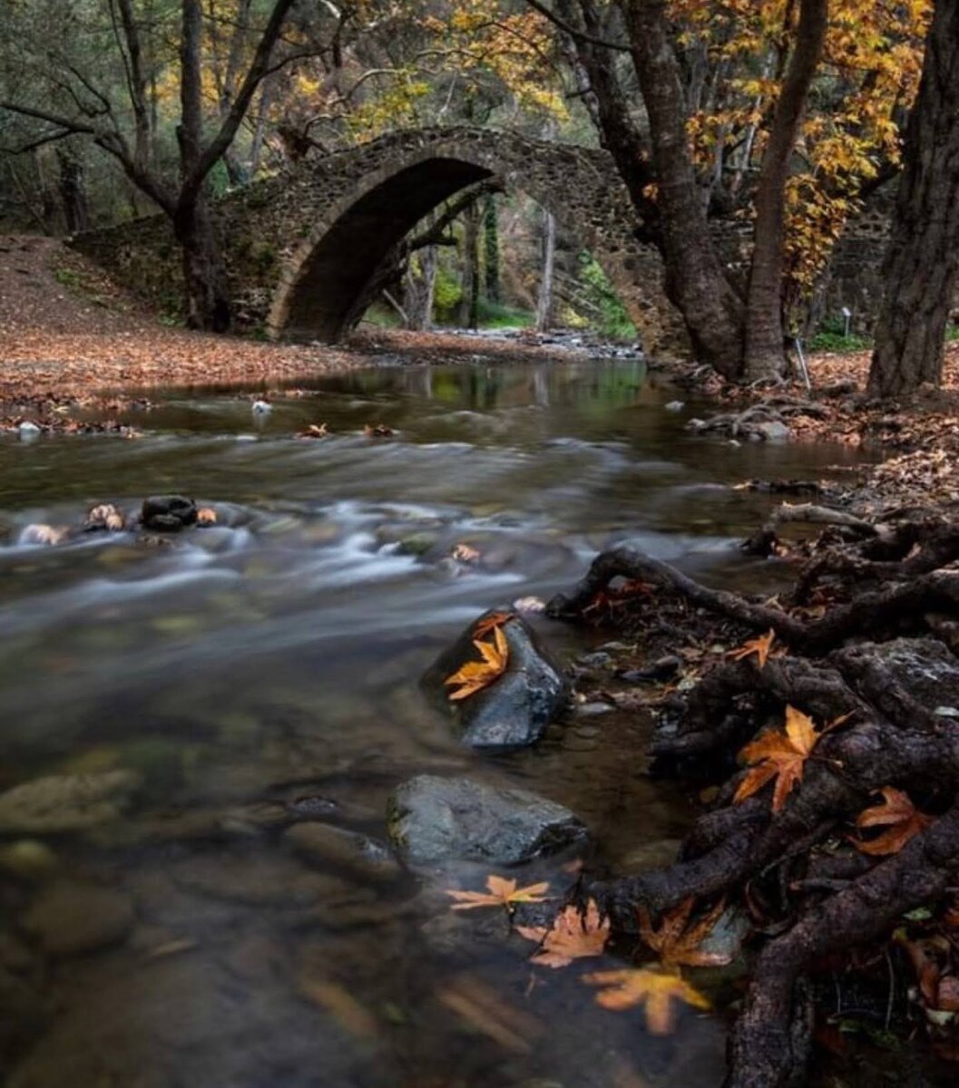 В провинции Пафос , в нескольких километрах от деревни Агиос Николаос в идилическом месте с платанами находится  Средневековый или Венецианский мост Келефос. Этот каменный мост, который также является крупнейшим на Кипре, построен на реке Диаризо. 