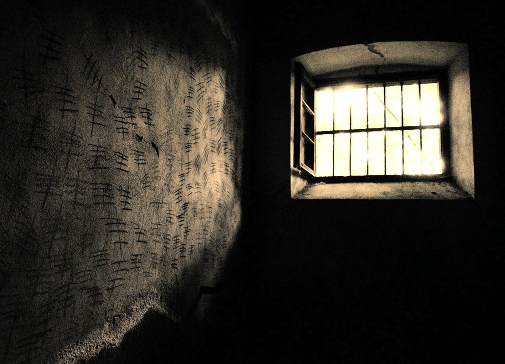 Иллюстрация из Яндекс картинок