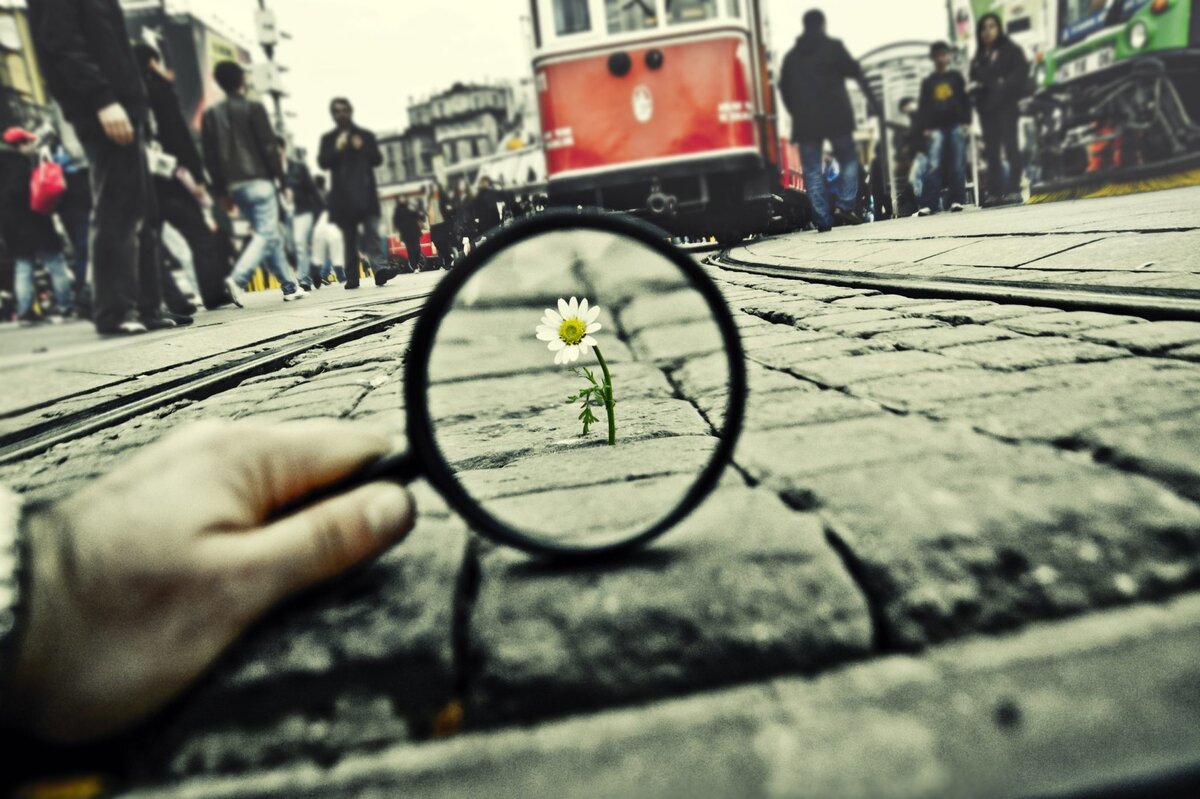 Яндекс.Картинки, свободный доступ. Суета сует.