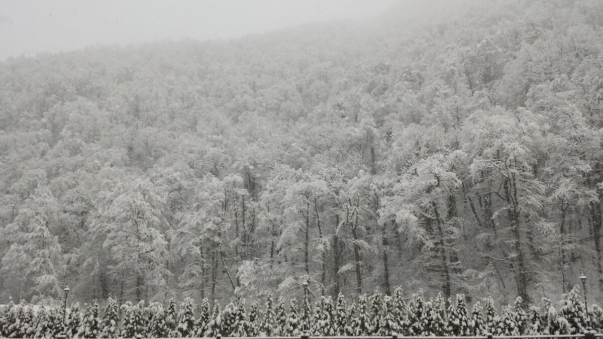 по дороге в горы