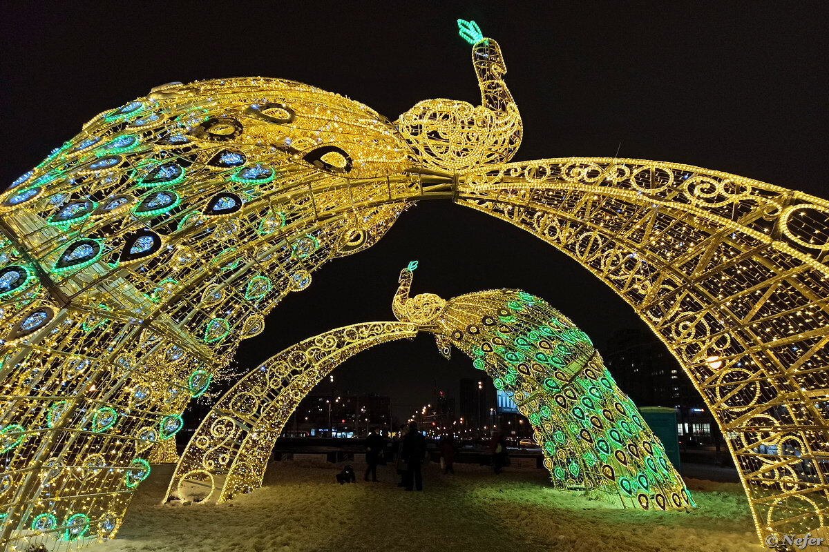 выставка-ярмарка «жар-птица. жар птицы у цирка на вернадского. жарптица москва. санлайт брошь жар птица. ярмарка жар птица 2021.