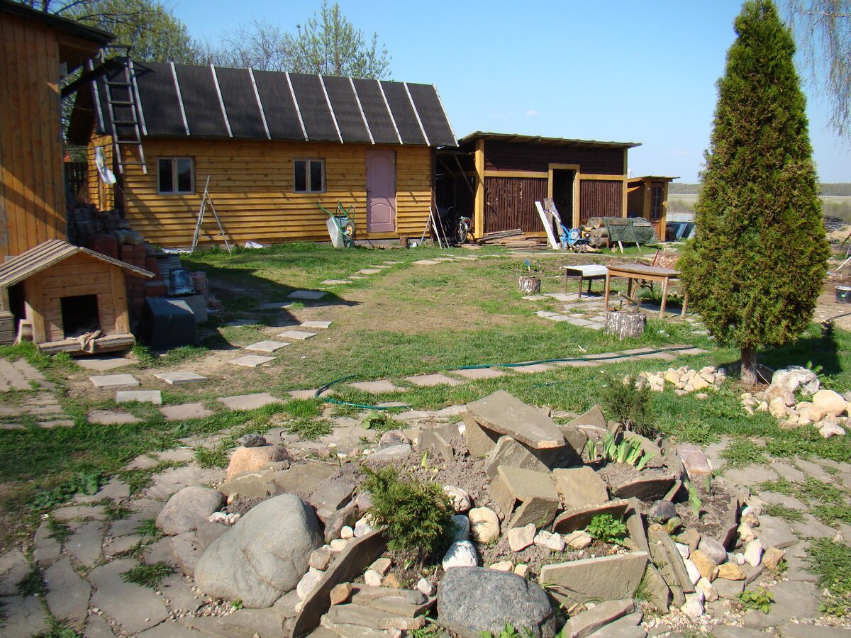 И клумба начинает оживать.