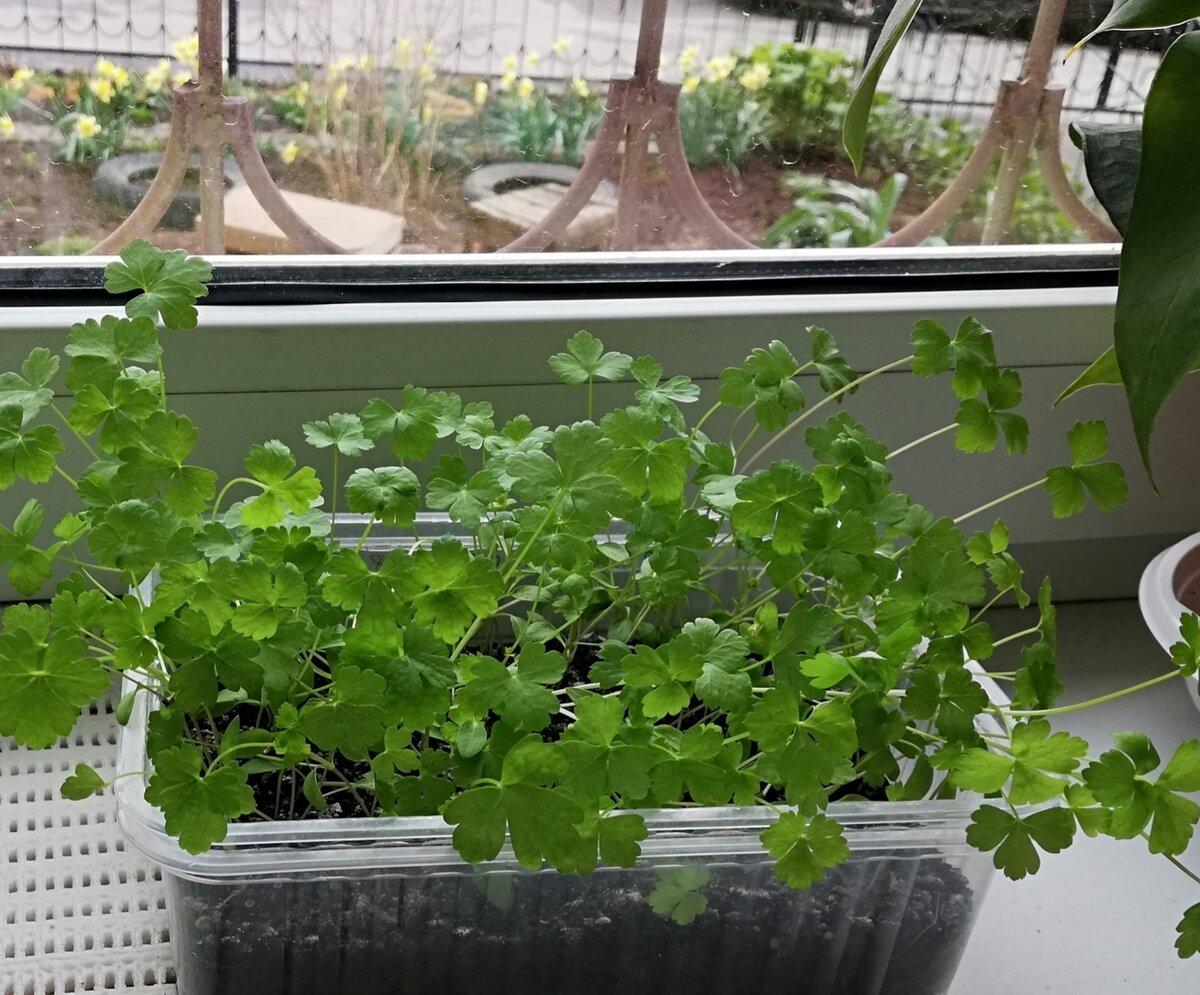 РАДА ВСЕМ НА СВОЁМ  КАНАЛЕ! ПОДПИСЫВАЙТЕСЬ И СТАВЬТЕ  ЛАЙКИ