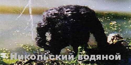 Рассказ участницы событий.