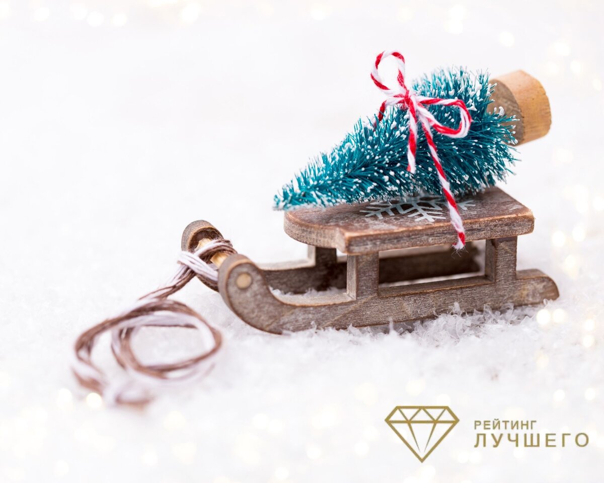 Выбираем санки для веселой зимы