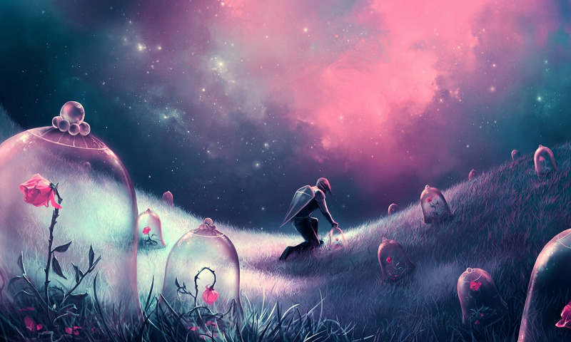 Жизнь ради розы