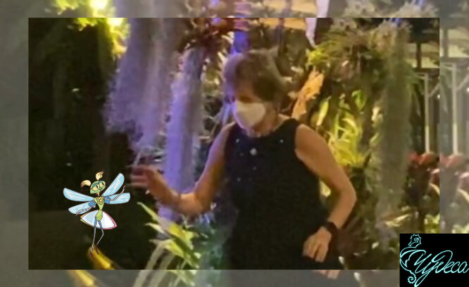 Это не я, если что - не лю селфи:)