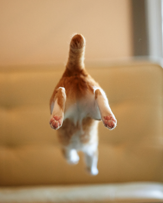 Картинка из сети интернет для иллюстрации