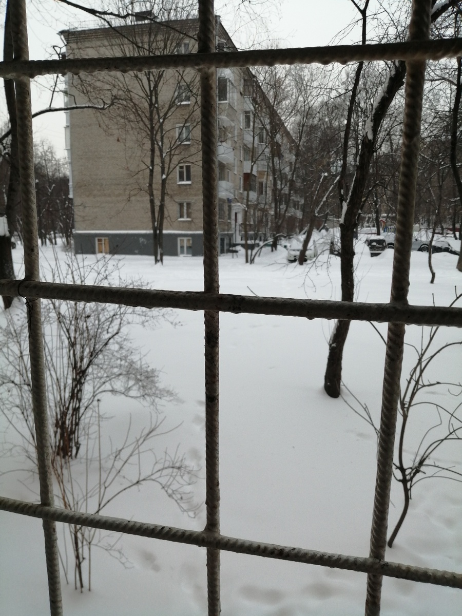 Зима – время размышлений.