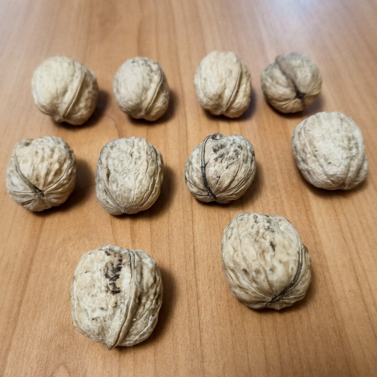 Местные грецкие орехи