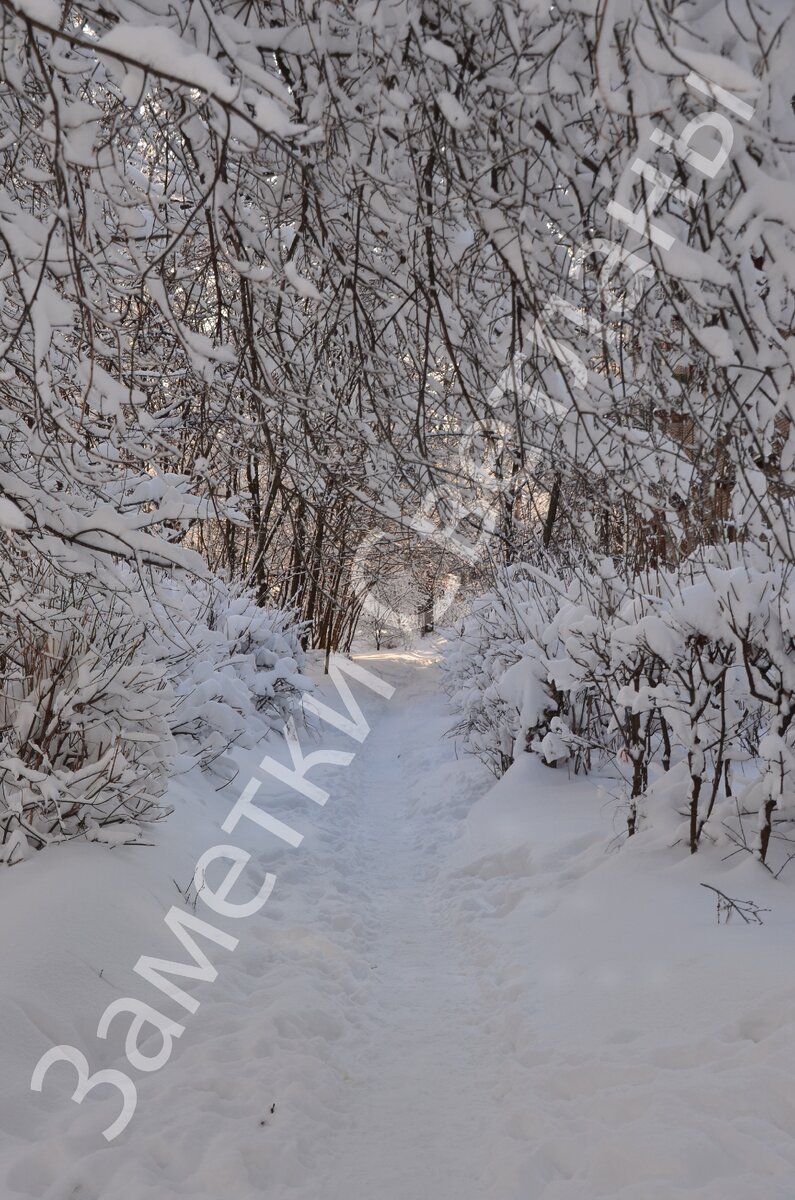 Фото автора.