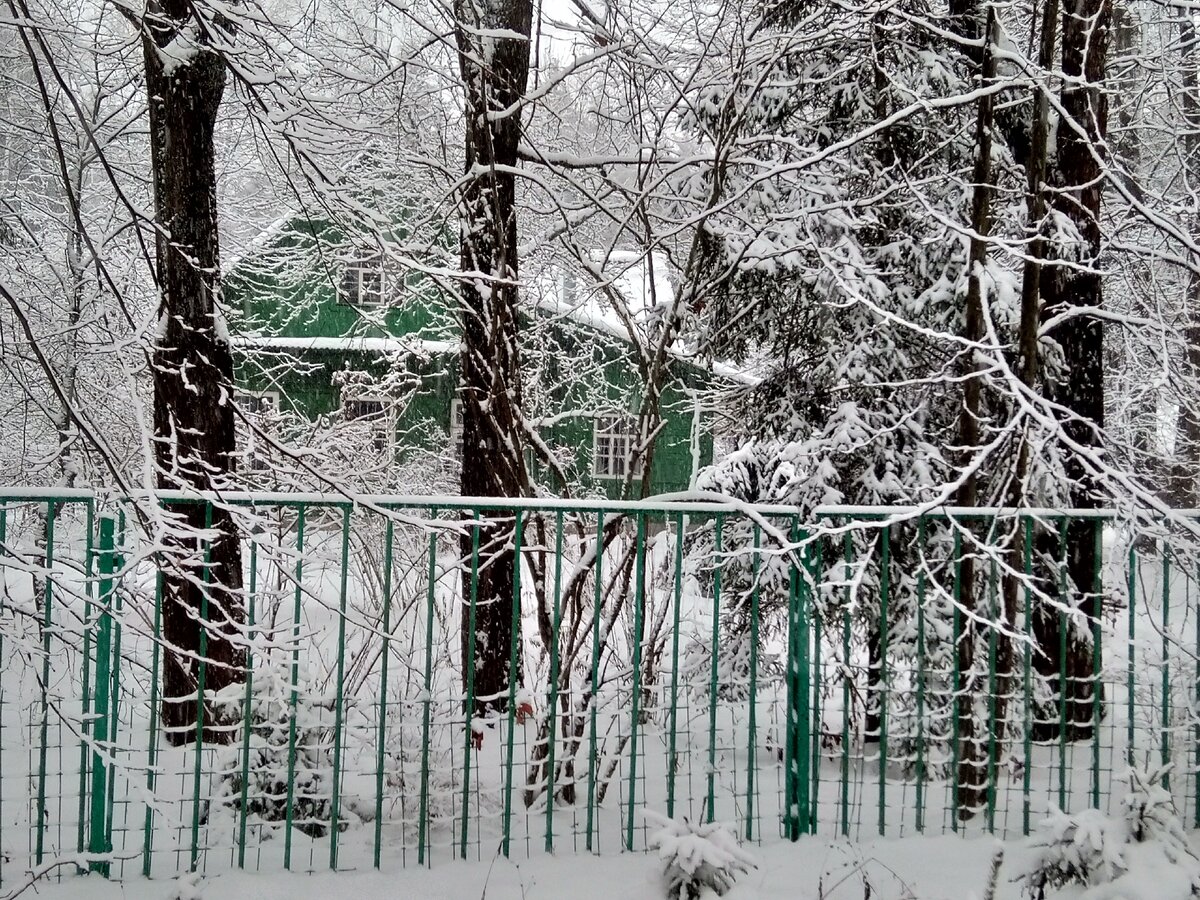 Фото автора. Дачный домик...