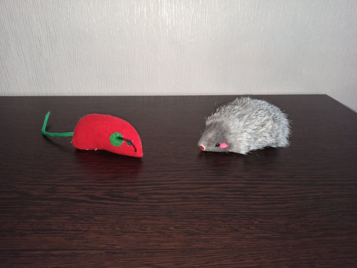 Мышки, та, что справа достаточно дорогая, но она пищит