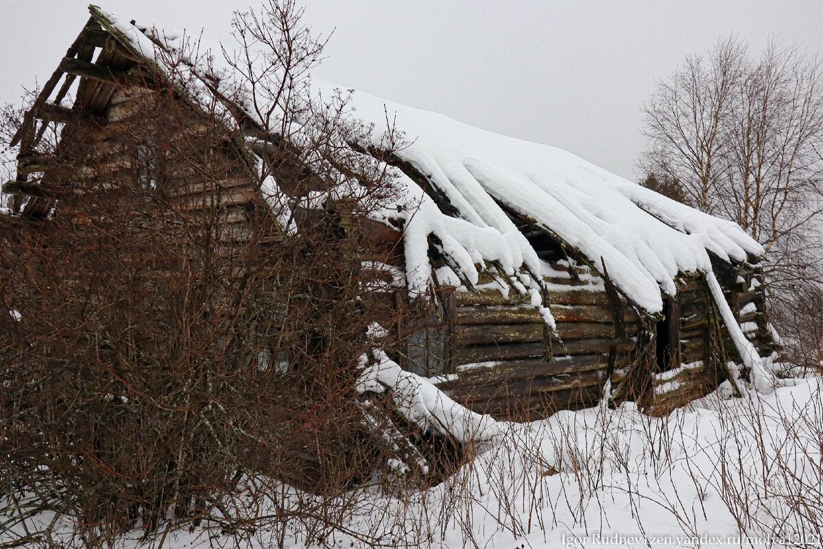 Деревня болотчицы слуцкого района. Планировка деревни думино карелия. Американский деревенский дом. Илькино дом музей деревянного зодчества. Дом крестьянина середняка в суздале.